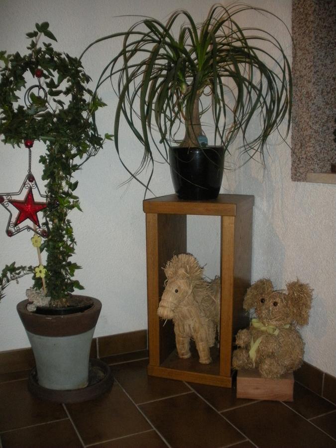 Apartament Haus Margit Kössen Zewnętrze zdjęcie